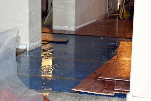Professional Basement Water Removal technician working in Hollins, AL